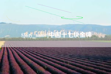 宝鸡中国十七块金牌