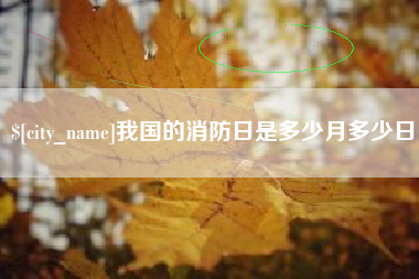 宝鸡我国的消防日是多少月多少日