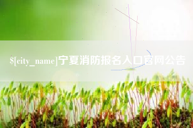 宝鸡宁夏消防报名入口官网公告