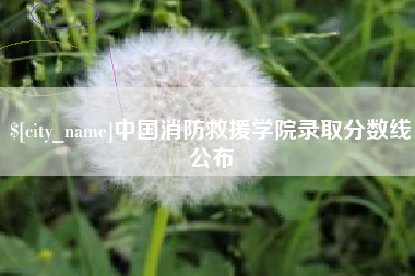 宝鸡中国消防救援学院录取分数线公布