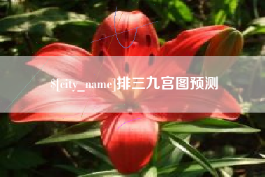 宝鸡排三九宫图预测