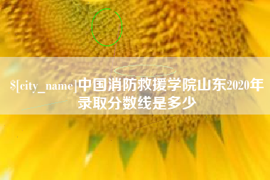 宝鸡中国消防救援学院山东2020年录取分数线是多少