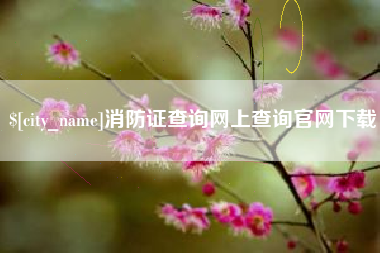宝鸡消防证查询网上查询官网下载