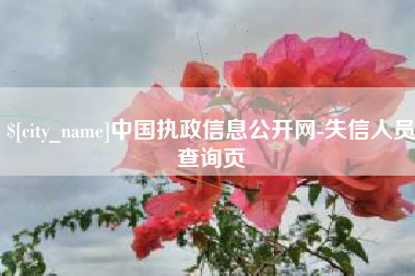 宝鸡中国执政信息公开网-失信人员查询页
