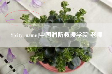 宝鸡中国消防救援学院 老师