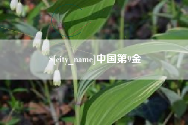 宝鸡中国第9金
