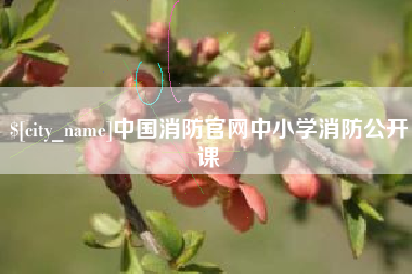 宝鸡中国消防官网中小学消防公开课
