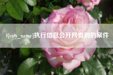 宝鸡执行信息公开网查到的案件