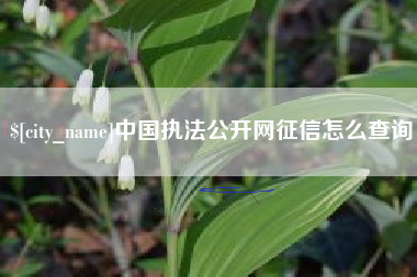 宝鸡中国执法公开网征信怎么查询
