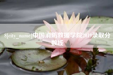 宝鸡中国消防救援学院2019录取分数线
