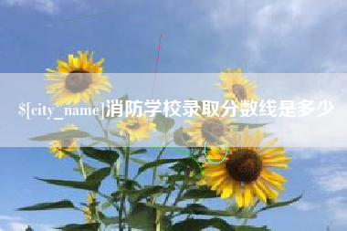 宝鸡消防学校录取分数线是多少