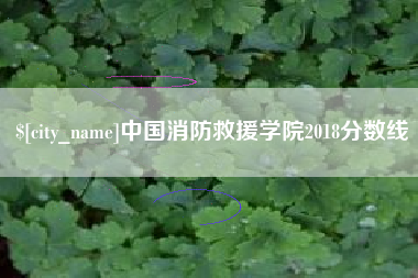 宝鸡中国消防救援学院2018分数线
