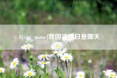 宝鸡我国消防日是哪天