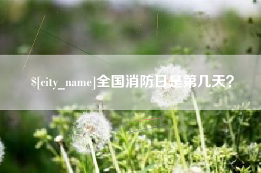 宝鸡全国消防日是第几天？