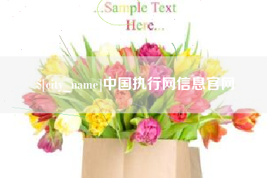 宝鸡中国执行网信息官网