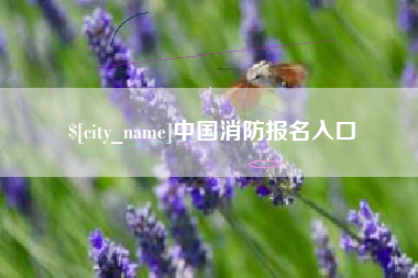 宝鸡中国消防报名入口
