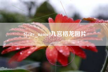 宝鸡九宫格龙图片