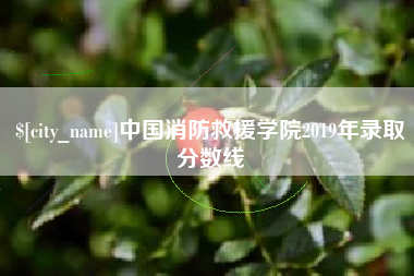 宝鸡中国消防救援学院2019年录取分数线