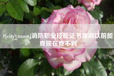 宝鸡消防职业技能证书查询以前能查现在查不到