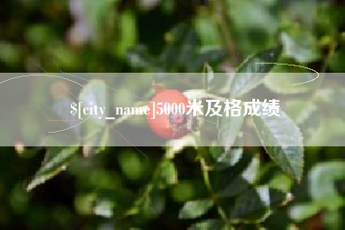 宝鸡5000米及格成绩