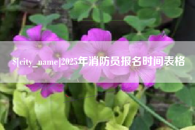 宝鸡2025年消防员报名时间表格