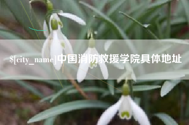宝鸡中国消防救援学院具体地址