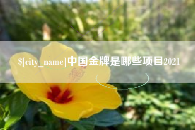 宝鸡中国金牌是哪些项目2021