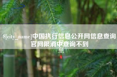 宝鸡中国执行信息公开网信息查询官网限消中查询不到