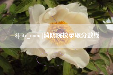 宝鸡消防院校录取分数线