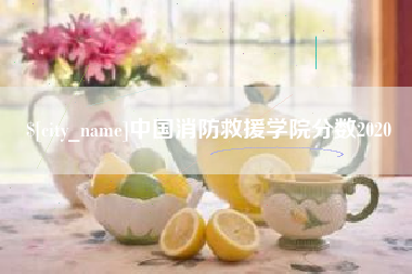 宝鸡中国消防救援学院分数2020