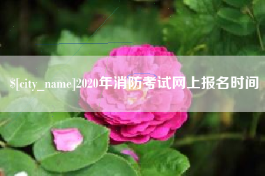 宝鸡2020年消防考试网上报名时间