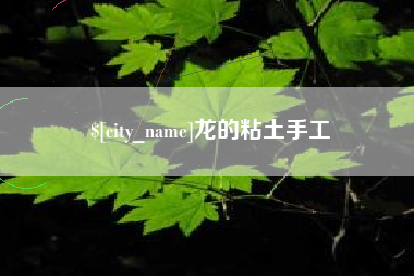 宝鸡龙的粘土手工
