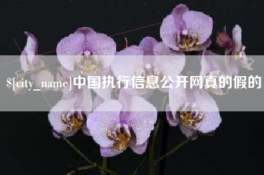 宝鸡中国执行信息公开网真的假的