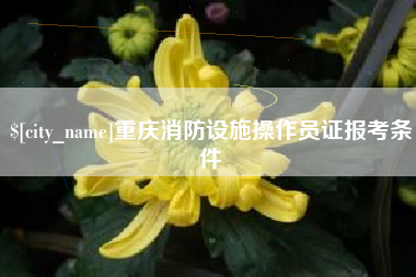 宝鸡重庆消防设施操作员证报考条件