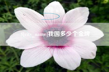 宝鸡我国多少个金牌