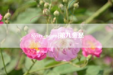 宝鸡第九金是