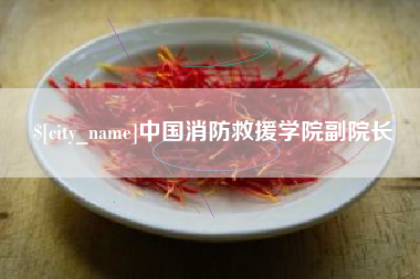 宝鸡中国消防救援学院副院长