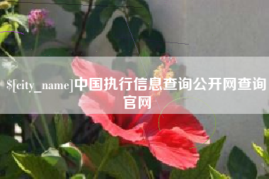 宝鸡中国执行信息查询公开网查询官网