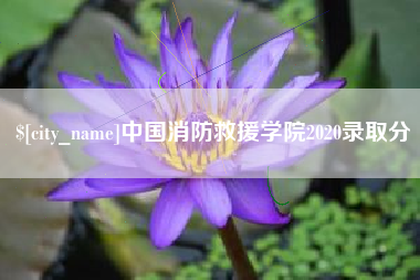 宝鸡中国消防救援学院2020录取分
