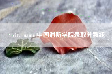 宝鸡中国消防学院录取分数线