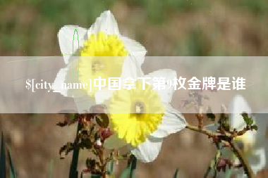 宝鸡中国拿下第9枚金牌是谁