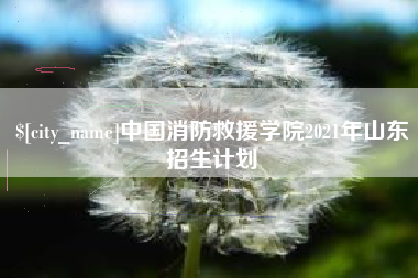 宝鸡中国消防救援学院2021年山东招生计划