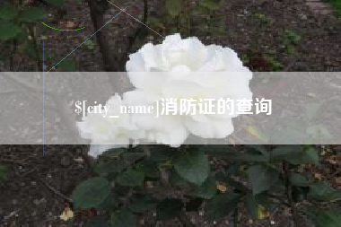 宝鸡消防证的查询