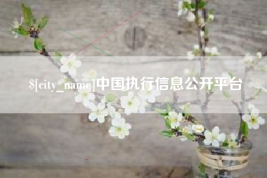宝鸡中国执行信息公开平台