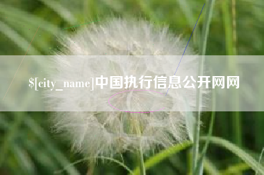 宝鸡中国执行信息公开网网