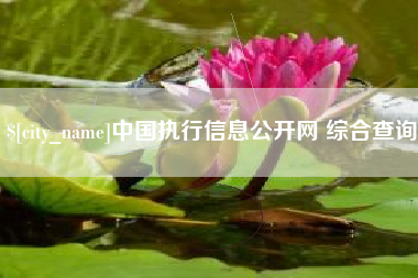 宝鸡中国执行信息公开网 综合查询