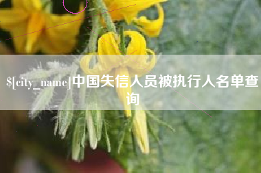 宝鸡中国失信人员被执行人名单查询