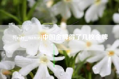 宝鸡中国金牌得了几枚金牌
