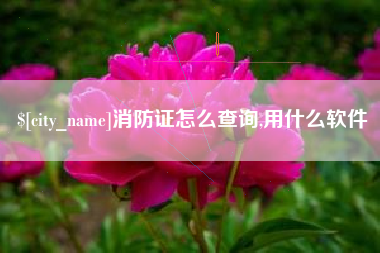 宝鸡消防证怎么查询,用什么软件