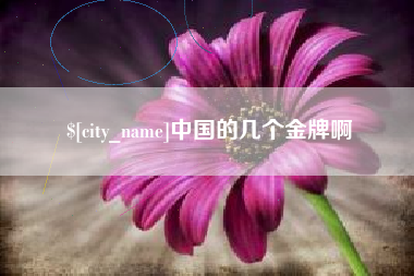 宝鸡中国的几个金牌啊